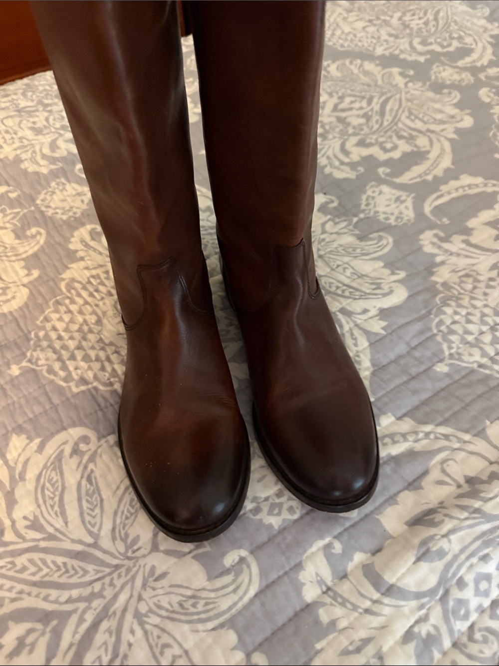 Frye Melissa wide calf size 9 Tall Leather Riding Boots in chestnut brown - Picture 2 of 8